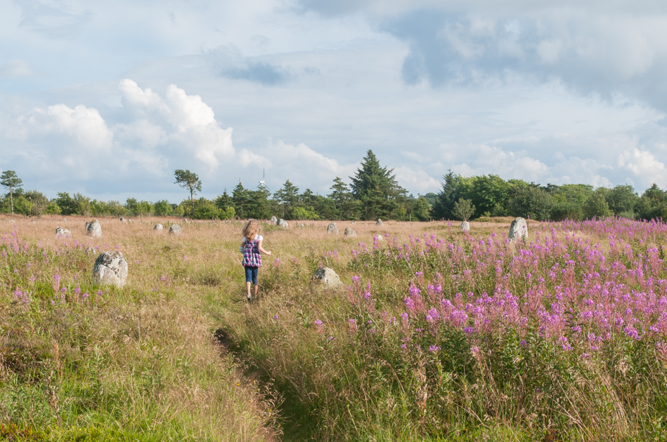 Højstrup viking graveyard