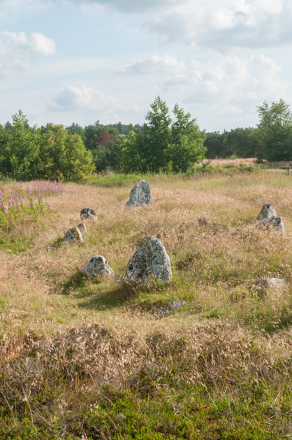 Højstrup viking graveyard