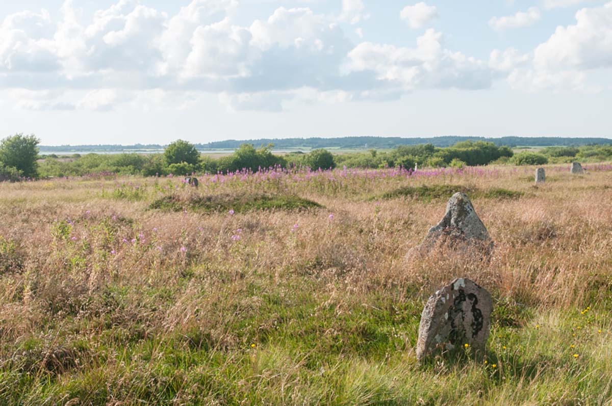 Højstrup viking graveyard