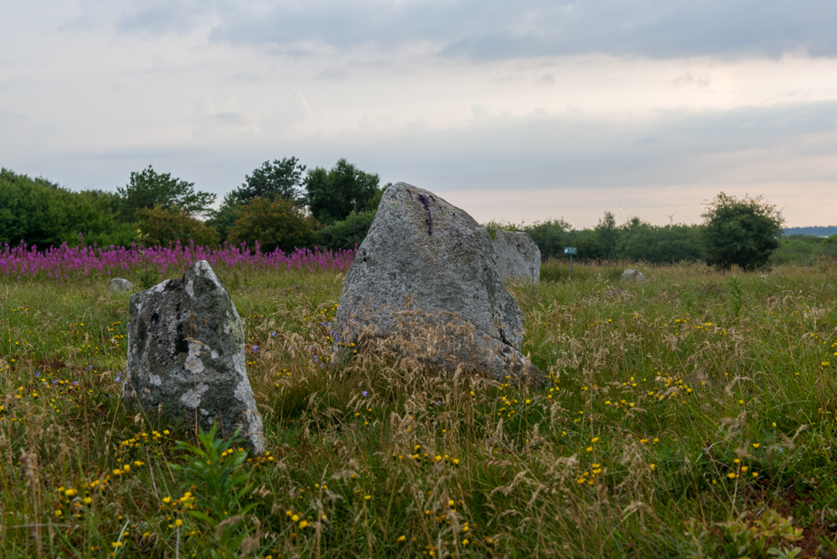 Højstrup viking graveyard