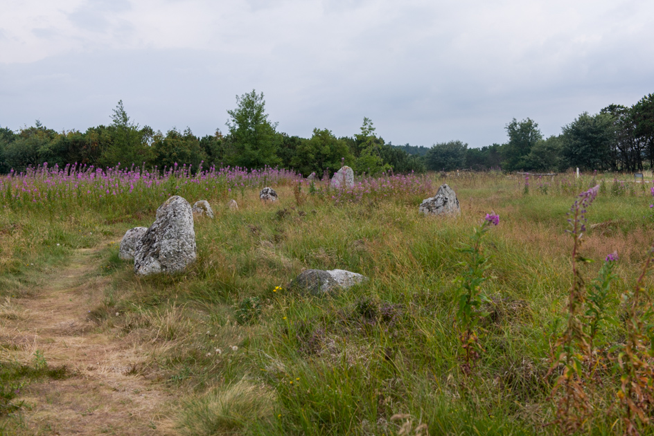 Højstrup viking graveyard