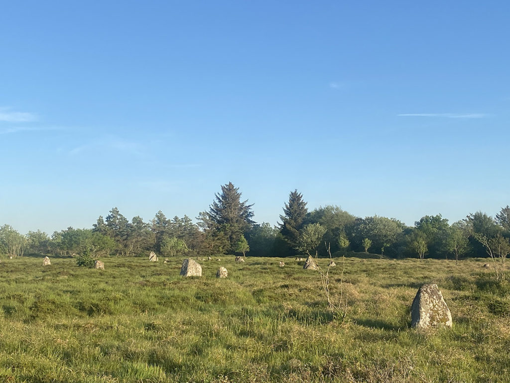 Højstrup viking graveyard