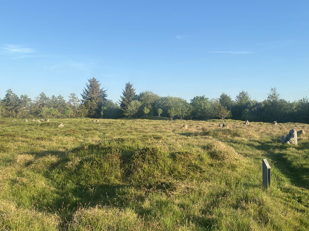 Højstrup viking graveyard