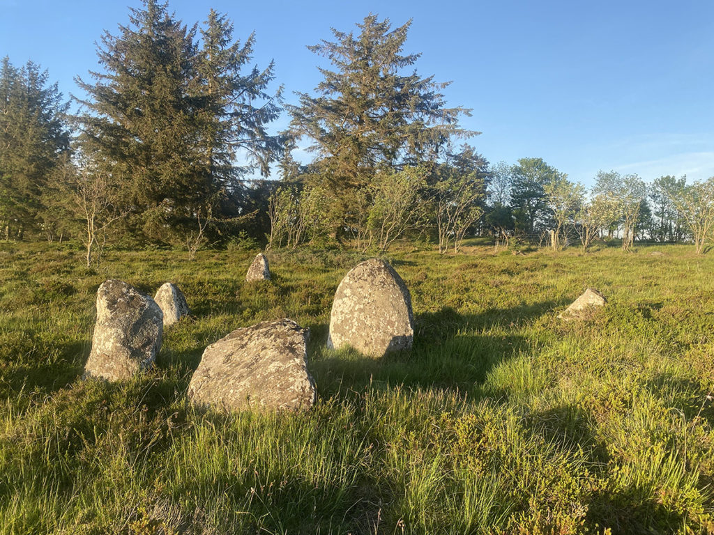 Højstrup viking graveyard