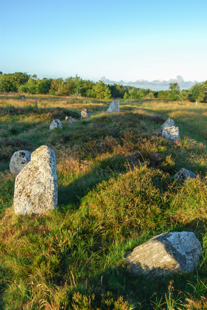 Højstrup viking graveyard