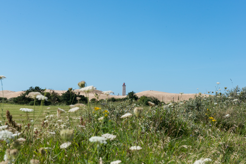 Rubjerg Knude 2017