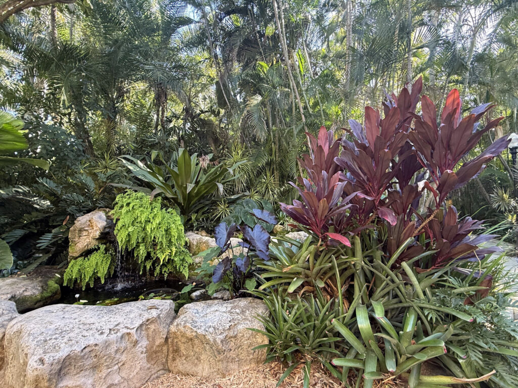 Large botanical plans and tropical trees.