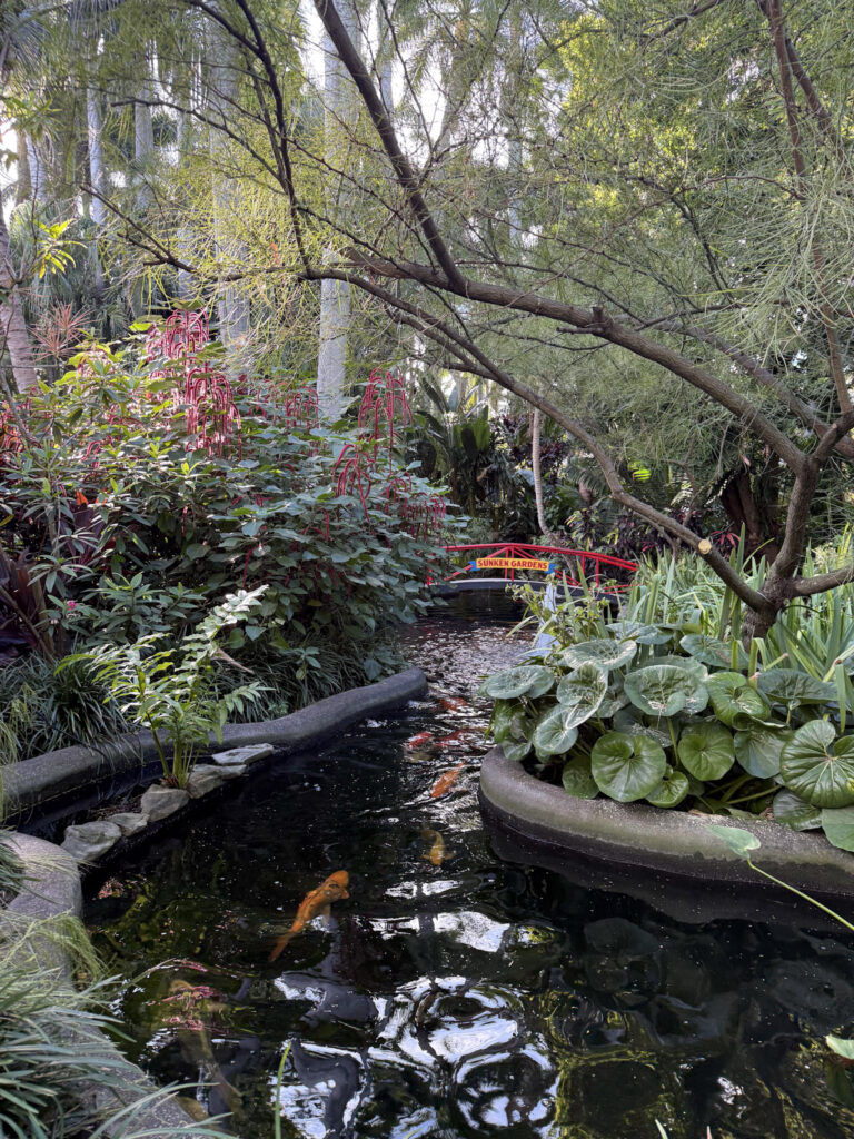 View of koi pond at Sunken Gardens from a distance.