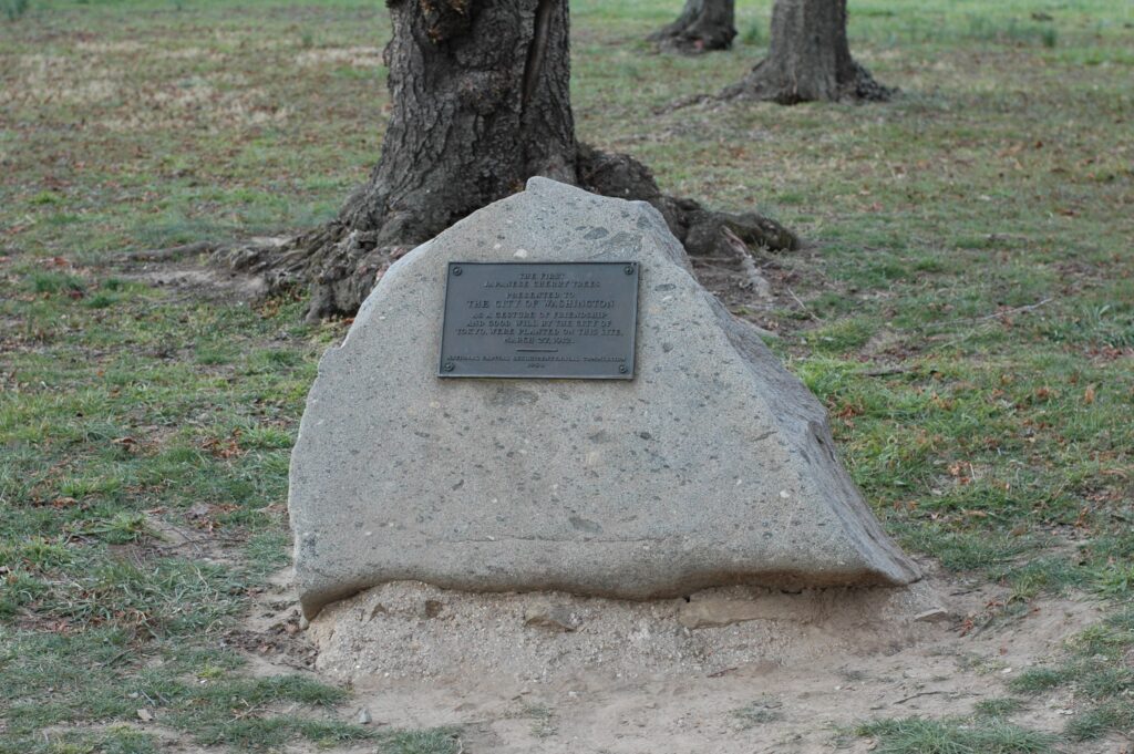 A plaque commemorating the first cherry blossom trees planted in 1912 by Mrs. Helen Taft